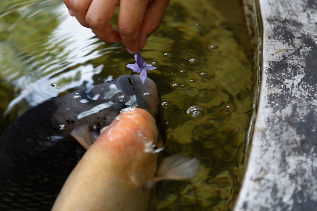 Muang Boran-2013-262